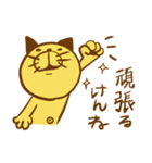 〜長崎弁〜カステラ猫（個別スタンプ：10）