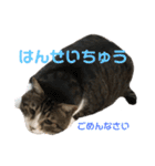 くるぶし先輩（個別スタンプ：2）