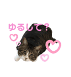 くるぶし先輩（個別スタンプ：3）