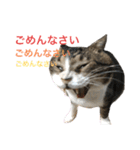 くるぶし先輩（個別スタンプ：4）