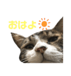 くるぶし先輩（個別スタンプ：6）