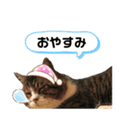 くるぶし先輩（個別スタンプ：7）