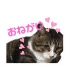くるぶし先輩（個別スタンプ：12）