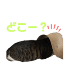 くるぶし先輩（個別スタンプ：13）