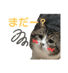 くるぶし先輩（個別スタンプ：14）