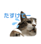 くるぶし先輩（個別スタンプ：16）