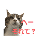 くるぶし先輩（個別スタンプ：18）