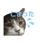 くるぶし先輩（個別スタンプ：20）