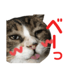 くるぶし先輩（個別スタンプ：21）