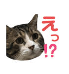 くるぶし先輩（個別スタンプ：22）