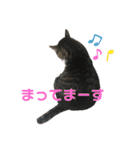 くるぶし先輩（個別スタンプ：23）