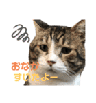 くるぶし先輩（個別スタンプ：24）