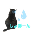 くるぶし先輩（個別スタンプ：25）