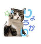 くるぶし先輩（個別スタンプ：26）