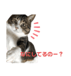 くるぶし先輩（個別スタンプ：27）