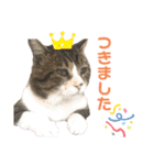 くるぶし先輩（個別スタンプ：32）