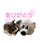 くるぶし先輩（個別スタンプ：35）