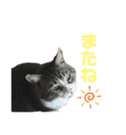 くるぶし先輩（個別スタンプ：39）