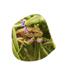 爬虫類多め 生き物のスタンプ（個別スタンプ：6）