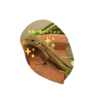 爬虫類多め 生き物のスタンプ（個別スタンプ：7）