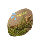 爬虫類多め 生き物のスタンプ（個別スタンプ：8）