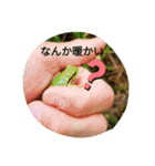爬虫類多め 生き物のスタンプ（個別スタンプ：10）