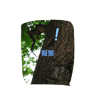 爬虫類多め 生き物のスタンプ（個別スタンプ：13）