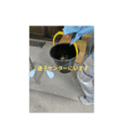 爬虫類多め 生き物のスタンプ（個別スタンプ：16）