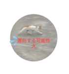 爬虫類多め 生き物のスタンプ（個別スタンプ：17）