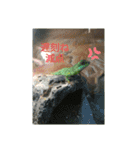 爬虫類多め 生き物のスタンプ（個別スタンプ：24）