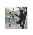 今日のこむぎたん（個別スタンプ：18）