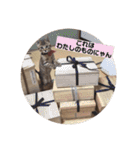 今日のこむぎたん（個別スタンプ：24）