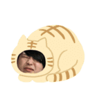 しゅんやのいろいろ。（個別スタンプ：13）