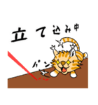 子猫のビーくん（個別スタンプ：7）