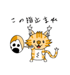 子猫のビーくん（個別スタンプ：9）