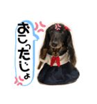 うちのぷ〜ちゃんの彼女レンちゃん♡（個別スタンプ：4）