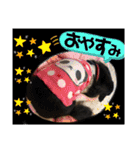 うちのぷ〜ちゃんの彼女レンちゃん♡（個別スタンプ：20）