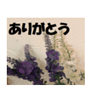 【お花のあいさつスタンプ】（個別スタンプ：29）