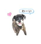 みるくのお友達（個別スタンプ：14）
