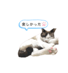 みるくのお友達（個別スタンプ：15）
