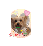 まろんLoveここあ(*˙˘˙)♡（個別スタンプ：1）
