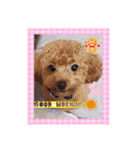まろんLoveここあ(*˙˘˙)♡（個別スタンプ：2）