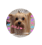まろんLoveここあ(*˙˘˙)♡（個別スタンプ：4）