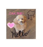 まろんLoveここあ(*˙˘˙)♡（個別スタンプ：6）