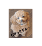 まろんLoveここあ(*˙˘˙)♡（個別スタンプ：7）
