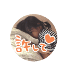 ほのちゃんスタンプ5（個別スタンプ：4）