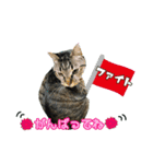 我が家のまいりー3（個別スタンプ：6）
