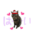 我が家のまいりー3（個別スタンプ：7）