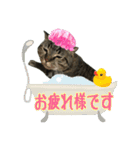 我が家のまいりー3（個別スタンプ：10）