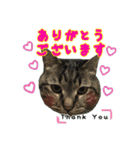 我が家のまいりー3（個別スタンプ：11）